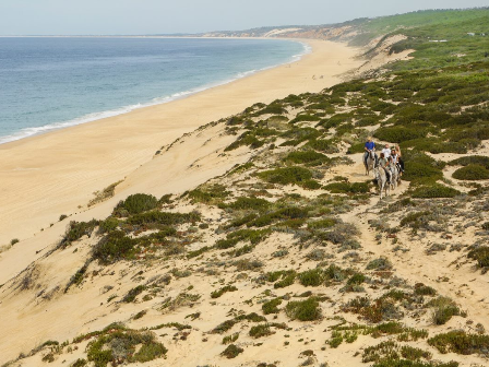 Ride In The Sun Coastal Trail